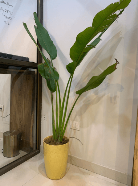 10 Essential Vastu Tips for a Harmonious Home by Vasterior - Wedding gallery image 1